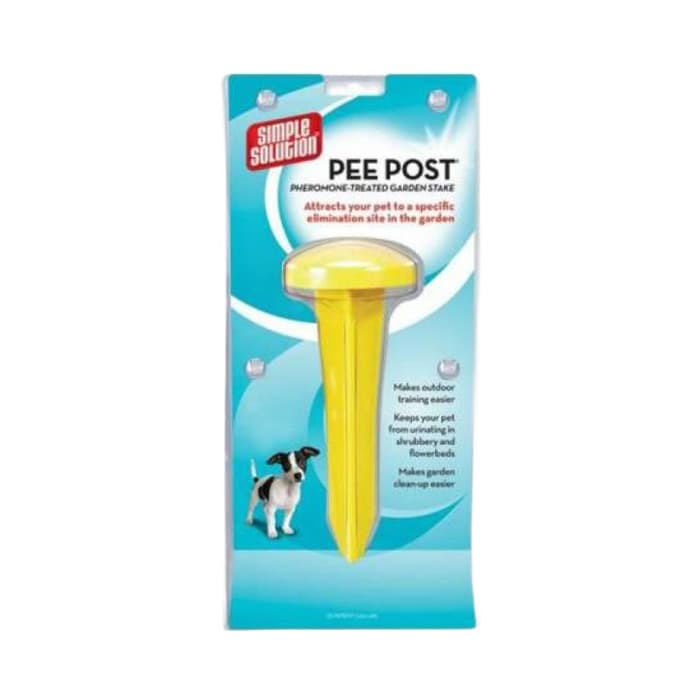 Solution Dis Mekan Köpek Tuvalet Egitim Kazigi