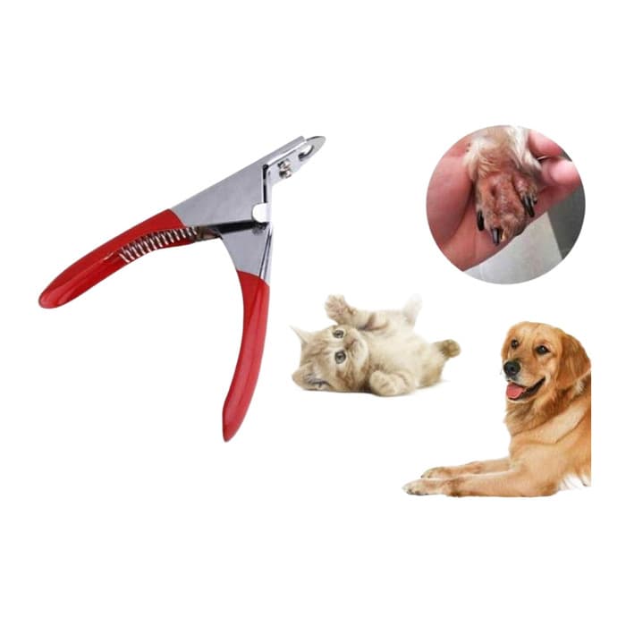 Kedi Köpek Giyotin Tirnak Makasi