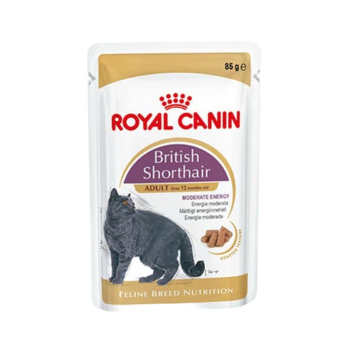Royal Canin British Shorthair Yetişkin Kedi Yaş Maması
