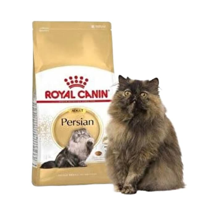 Royal Canin Persian Yetişkin Kedi Maması