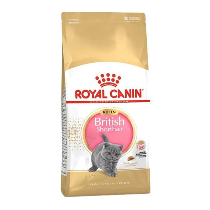 Royal Canin British Shorthair Kitten Yavru Kedi Maması