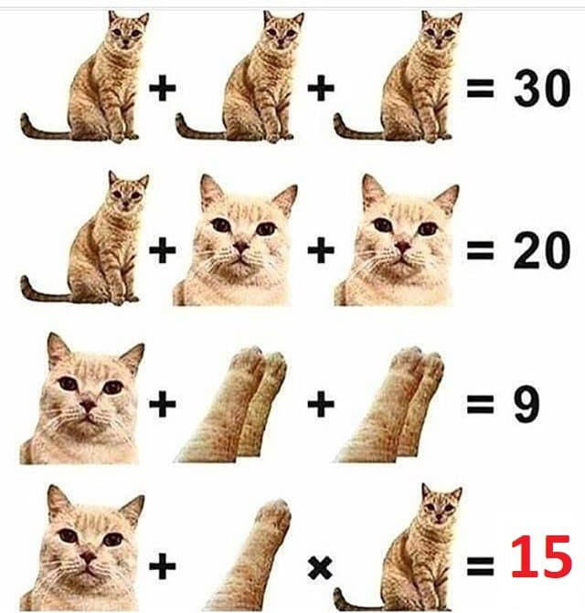 Çıldırtan Sorular
