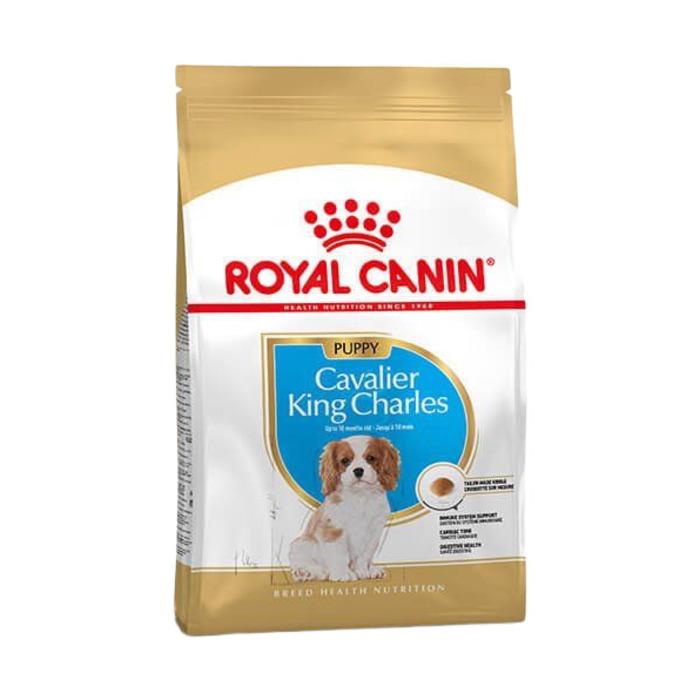 Royal Canin Cavalier King Charles Puppy Yavru Köpek Maması
