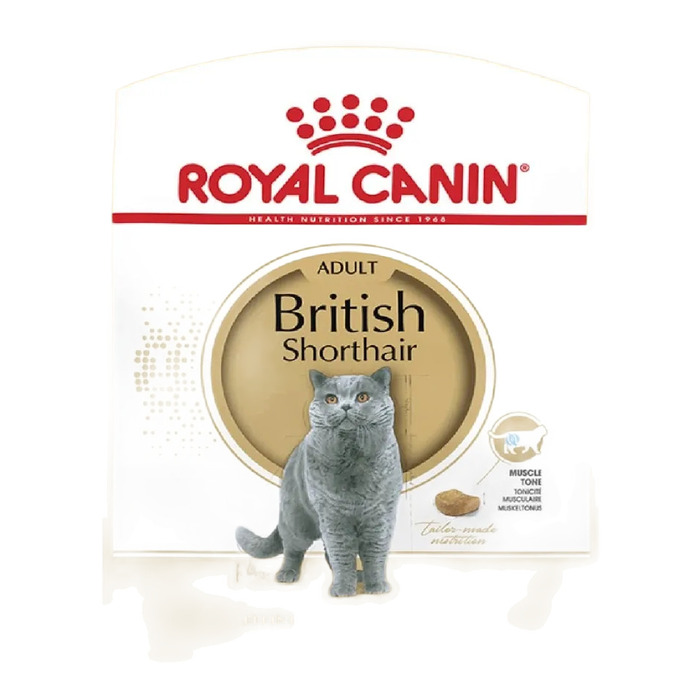 Royal Canin British Shorthair Adult Yetişkin Kedi Maması